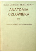 Anatomia człowieka Tom III
