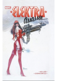 Elektra Assassin