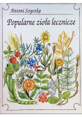 Popularne zioła lecznicze