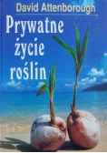 Prywatne życie roślin