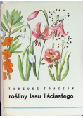 Rośliny lasu liściastego