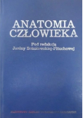 Anatomia człowieka