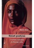 Kwiat pustyni