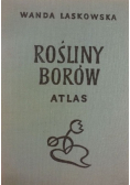 Rośliny Borów atlas