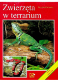Zwierzęta w terrarium