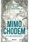 Mimochodem o chodzeniu