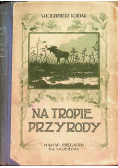 Korsak Włodzimierz - Na tropie przyrody, 1922