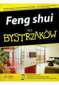 Feng shui dla bystrzaków