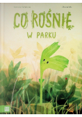 Co rośnie w parku