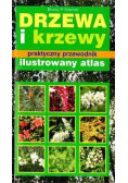 Drzewa i krzewy