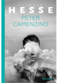 Peter Camenzin