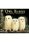 Owl Babies Story Book