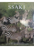 Ssaki Encyklopedia zwierząt