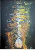 nadleśnictwo płaska W sercu Puszczy Augustowskiej