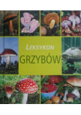 Leksykon grzybów