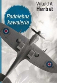 Podniebna kawaleria