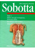 Atlas anatomii człowieka Tom 2