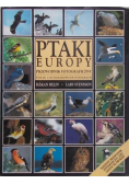 Ptaki Europy Przewodnik fotograficzny