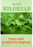 Miłorząb