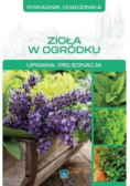 Zioła w ogródku