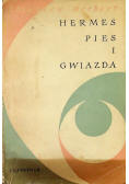 Hermes pies i gwiazda