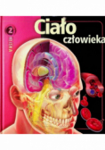 Z Bliska Ciało człowieka