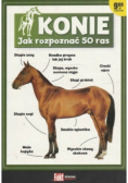 Konie jak rozpoznać 50 ras