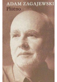 Płótno