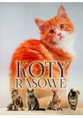 Koty rasowe