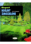 Rośliny zimozielone