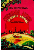 Przygoda Lutka Historia krótka