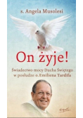 On żyje! świadectwo mocy Ducha Świętego w posłudze o. Émiliena Tardifa