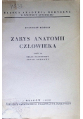 Zarys anatomii człowieka Część 3