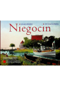 Niegocin