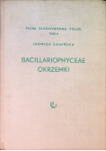 Bacillariophyceae Okrzemki