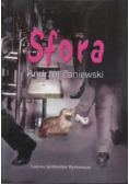 Roma i Amor historia prawdziwa
