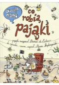 Opowiem ci mamo co robią pająki
