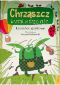 Łamańce językowe Chrząszcz brzmi w trzcinie