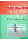 Anatomia na żywym człowieku