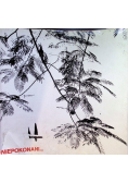Niepokonani Wietnam Północny w fotografiach Zbigniewa Staszyszyna