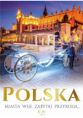 Polska. Miasta, wsie, zabytki, geografia