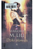 Dziki płomień