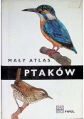 Mały atlas ptaków