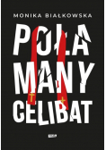 Połamany celibat
