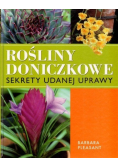 Rośliny doniczkowe. Sekrety udanej uprawy
