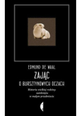 Zając o bursztynowych oczach