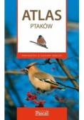 Atlas ptaków