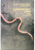 Czarodziejska góra