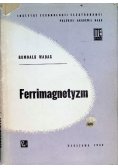 Ferrimagnetyzm