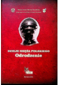 Dzieje oręża polskiego. Odrodzenie